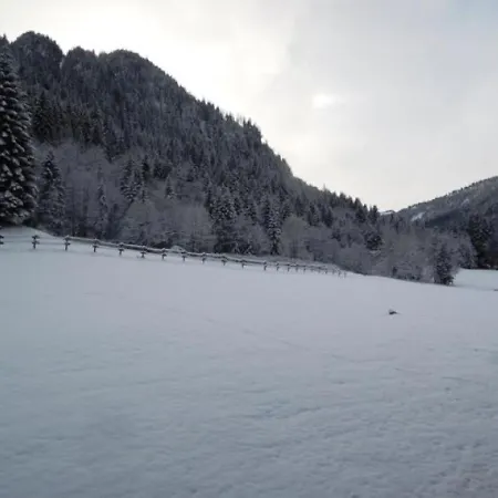 Chatel, 2 Pieces, 6 Personnes - Fr-1-198-183 شقة *